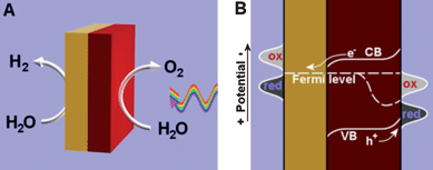 Illustration (A) and energy diagram (B) of a two-electrode water splitting device or particle based water splitting system, in which yellow is metal and red is an n-type semiconductor. Light is incident on the semiconductor from the right. Because of above-band gap light, the holes in the valence band are not in thermal equilibrium with the electrons in the conduction band, which causes the Fermi level to split. The energy levels of the electrolyte are depicted as “red” and “ox”; these levels include water and hydrogen (left) and water and oxygen (right), among the many intermediates formed in the multi-electron transfer process.
