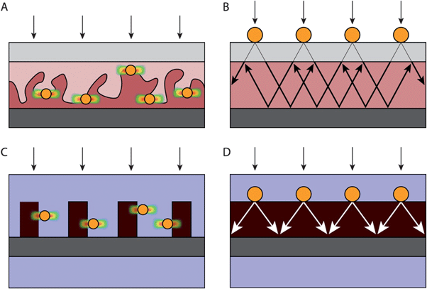 Device design for solar cells (A, B) and analogous designs for photoelectrochemical cells (C, D). (A) Design of a bulk heterojunction organic solar cell with plasmonic nanoparticles at the heterojunction interface, causing localized exciton formation near the interface. (B) Design of an inorganic solar cell that traps scattered light into the absorbing layer. (C) Design of a photoelectrochemical cell for water splitting that exploits near field carrier generation, which is analogous to (A). (D) Device design for water splitting that is based on light scattering, analogous to (B). In these figures, transparent conducting oxide electrodes are light grey, metal electrodes are dark grey, plasmonic metal nanoparticles are yellow, water is blue, and the semiconductor is red. Regions with an enhanced electric field intensity are depicted in (A) and (C) with color gradients from red (high) to blue (low).