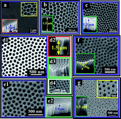 SEM images of (a) S-60-20; top right inset shows a high magnification image and bottom left inset shows cross-sectional view with a length of the TiO2 NTs of 1.3 μm; (b) S-60-40; inset shows cross-sectional view with a length of 1.5 μm; (c) S-60-60; inset shows cross-sectional view with a length of 1.3 μm; (d1) S-60-80; (d2) cross-sectional view of S-60-80 with a length of 1.5 μm, (d3) 15° cross-sectional view of S-60-80; (d4) regular hexagonally packed pattern with round concave morphology on a Ti sheet surface after ultrasonic removal of the NTs layer; (e1) S-60-100; (e2) cross-sectional view of S-60-100 with a length of 1.4 μm; (f) S-80-80; inset shows cross-sectional view with a length of 1.4 μm; (g) S-100-80; top right inset shows high magnification image, and bottom left inset shows cross-sectional view with a length of 1.5 μm.