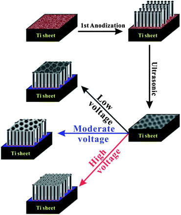 Two-step anodization synthesis of the hierarchical TiO2 NTs.