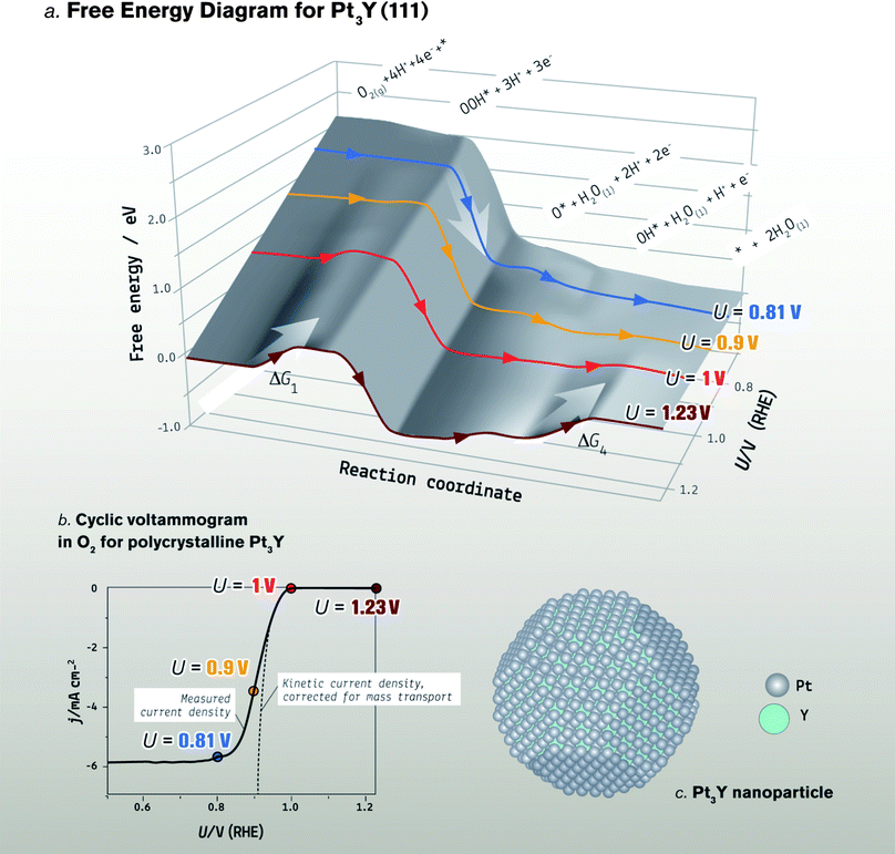 Understanding The Electrocatalysis Of Oxygen Reduction On Platinum And Its Alloys Energy Environmental Science Rsc Publishing Doi 10 1039 C2eea