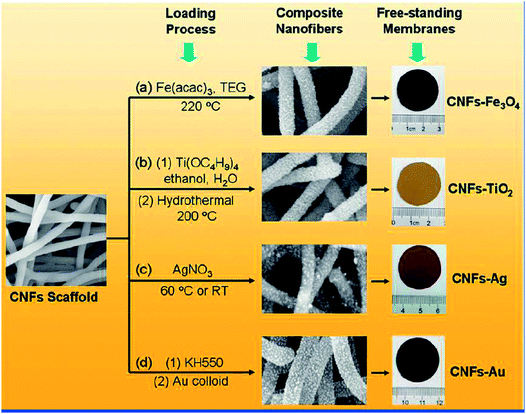 Black perspectives for a green future: hydrothermal carbons