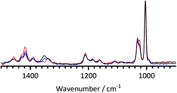 The FT-Raman spectra of 1B3MI at 0 days (dissolved in water – red) and treated at 60 °C in aqueous KOH (1 mol dm−3, 1 : 1 molar ratio 1B3MI : KOH) for 2 (blue) and 23 (black) days. The 1B3MI experiments were conducted in parallel chronologically to both the BTMA experiments (Fig. 8) and the KOH-free control experiments (Fig. 10). Spectra were normalised to the ring breathing mode at 1005 cm−1 and the fluorescence background was removed.