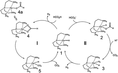 Proposed mechanisms for the selective iron-catalyzed hydrogen generation from formic acid. Reprinted with permission from ref. 264. Copyright 2011 The American Association for the Advancement of Science.