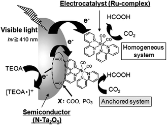 Mechanism for the reduction of CO2 by photocatalysis under visible-light with an Ru-complex and an N–Ta2O5 hybrid catalyst. Reprinted with permission from ref. 345. Copyright 2011 Royal Society of Chemistry.