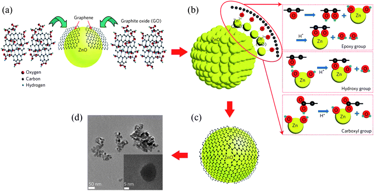 Chemical synthesis process for the ZnO–graphene quasi-QDs. A schematic of (a) chemical exfoliation of graphene sheets from graphene oxide, (b) synthesis of ZnO–graphene QDs from graphene oxide and zinc acetate dehydrate and (c) graphene-covered ZnO QDs. (d) A TEM image of the ZnO–graphene QDs. (Reprinted with permission from ref. 100. Copyright 2012 Nature Publishing Group.)