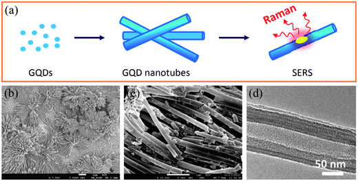 (a) A scheme of the fabrication of GQD-NTs and their SERS function, (b and c) SEM images of assembled nanotube arrays of GQDs with different magnifications after release from the AAO template, and (d) a TEM image of an individual GQD nanotube. (Reprinted with permission from ref. 110. Copyright 2012 American Chemical Society.)