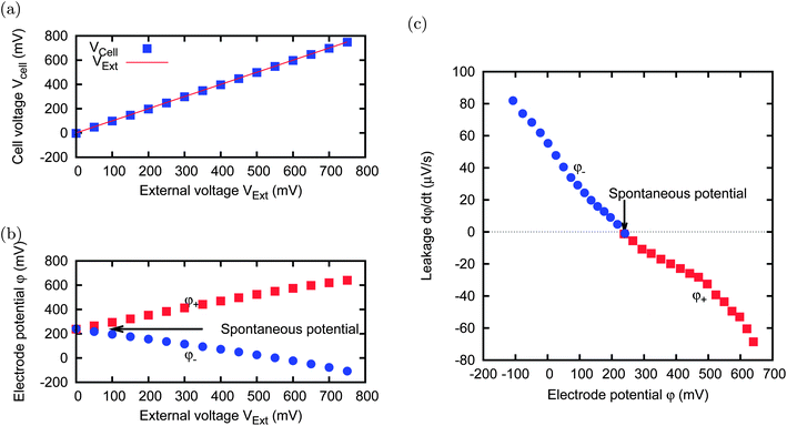 A cell with two electrodes (MCC, 5 × 5 mm), immersed in a cs = 500 mM salt solution, is charged for 10 minutes at every value of the external voltage VExt shown in the horizontal axis of panels (a) and (b). The resulting cell voltage Vcell is shown in panel (a) and the single electrode potentials φ+ and φ− (independently measured by using the reference electrode) are shown in panel (b). After charging, the circuit is open for 30 s, and the leakage is evaluated in terms of potential fall speed, shown in panel (c). The leakage tends to bring the electrodes to their spontaneous potential.