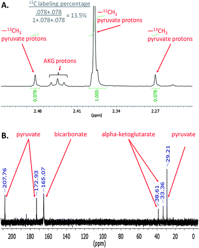 carbon stored as organic acid cam
