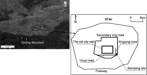 Location of the sampling site.