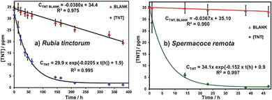 
          TNT removal profiles of plants studied: (a) R. tinctorum; (b) S. remota. The initial concentration of TNT was 35 mg L−1.
