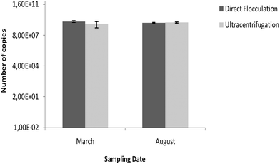 Quantification of Adenoviruses in recreational water samples after concentration by flocculation and ultracentrifugation for the two sampling dates. Values represent the mean of three independent experiments; error bars indicate the standard deviation.