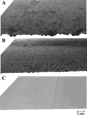 Three-dimensional images of different board types as derived from surface laser scanner. A – coarse (14 mm) asphalt, B – smooth (3 mm) asphalt, C – concrete. Heights are represented by differences in grey levels with dark tones showing lower elevations.