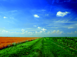 ugraphic, filename = c2em90031a-u1.gif