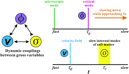 Schematic figure showing dynamical couplings among the three gross variables, the composition ϕ, the velocity field v⃑, and the stress field σ, The relation among these modes and the microscopic mode are also shown. When approaching the critical point Tc, the order parameter fluctuation mode τϕ should eventually become the slowest mode in principle. In this limit, the relaxation of σ does not play any role and thus the dynamic universality should hold. However, this situation may not be practically realized for a system of strong dynamic asymmetry. In phase separation, we should also consider the characteristic time of deformation τd. If the deformation rate τd is faster than the relaxation rate of the slow soft matter mode τt, the viscoelastic effects have a drastic influence on phase separation.