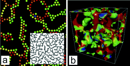 Phase separation processes of colloidal suspensions interacting with the Asakura-Oosawa potential, whose range is characterized by R = dp/Dp, where Dp is the particle diameter and dp is the range of the potential. (a) 2D pattern (the volume fraction is 0.248 and R = 0.7). The inset is the overall structure of the colloidal network. (b) 3D (coarse-grained) pattern evolution (the volume fraction is 0.100 and R = 0.6), where we coarse-grained structures by replacing a particle by a Gaussian field and extracting the interface by applying a black&white operation to the field. The details of the simulations are described in Ref. 72. In both (a) and (b), red particles are stretched and in a high energy state, whereas blue particles are in a low energy state. The most significantly stretched part, due to stress concentration, eventually breaks up, which allows the decrease in elastic energy and results in stress relaxation. This process, which is an elementary process of coarsening, is repeated.