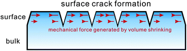 Schematic figure showing the localization of mechanical stress near the surface of drying soft matter and foods. The mechanical stress is a consequence of volume shrinking induced by solvent evaporation.