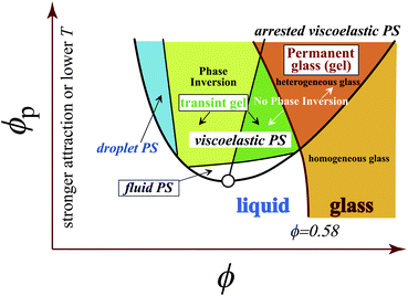 Schematic state diagram for colloidal suspensions, emulsions, and protein solutions. Whether phase inversion takes place or not is determined by the static symmetry line on which the two separated phases occupy the same volume. In the left-hand side of this line, a network pattern is formed, whereas in the right-hand side a sponge-like structure is formed. Whether viscoelastic phase separation is arrested or not is determined by the glass-transition line. The timing when viscoelastic phase separation is arrested by glass transition, or the degree of coarsening of a phase-separated structure, is dependent on the quenching condition (the composition, the effective temperature, and the quench speed).