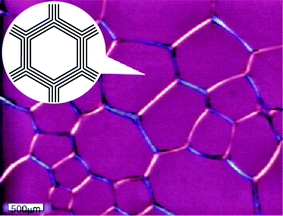 Cellular pattern formation in a lyotropic liquid crystal (a C10E3/water mixture of 19.9 wt% C10E3) observed at 42.15°with polarizing microscopy. The inset schematically shows how membranes are organized in a cellular structure. In a border region, there is a disclination line of strength −1/2.