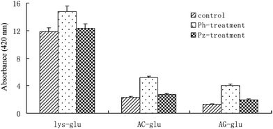 Absorbance value at 420 nm in model systems with and without treatment with phloretin and/or phloridzin. The ratios of l-lys, AC-lys and AG-lys to glucose was all 1 : 1 in the model systems. Corrected absorbance: (A) × dilution values; results are means of three replicates.