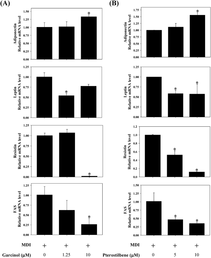 Effects of (A) garcinol and (B) pterostilbene on mRNA expressions of adiponectin, leptin, resistin, and FAS during 3T3-L1 adipocyte differentiation. 3T3-L1 cells were differentiated for 10 days with or without garcinol and pterostilbene. Reported values are means ± SD (n = 3). *Significantly different from control (p < 0.05).