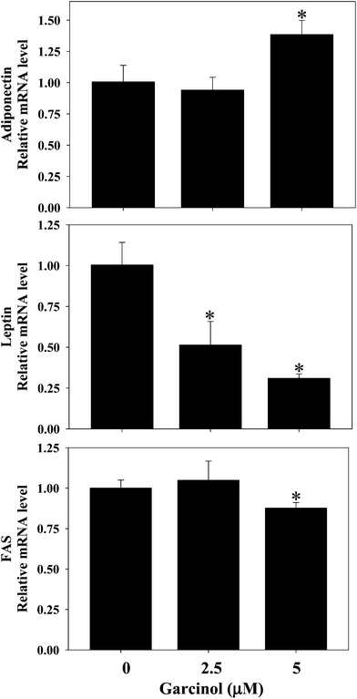 Effect of garcinol on mRNA expressions of adiponectin, leptin, and FAS in 3T3-L1 adipocytes. 3T3-L1 adipocytes were harvested at 10 days after initiation of differentiation. The cells were treated with 0–5 μM of garcinol for 3 h. Reported values are means ± SD (n = 3). *Significantly different from control (p < 0.05).