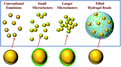 Schematic representation of the different kinds of delivery system used in this study: (A) conventional emulsion; (B) small microcluster emulsion; (C) large microcluster emulsion; (D) filled hydrogel beads.