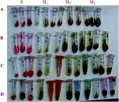 Visible images after feeding at different collecting points (stomach-S, duodenum -SI1, jejunum-SI2, ileum-SI3). The samples are (A) conventional emulsions, (B) small microcluster emulsions, (C) large microcluster emulsions, and (D) filled hydrogel microspheres.