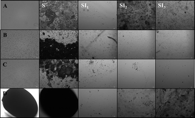 Microstructure of samples taken from different collection points (stomach-S, duodenum -SI1, jejunum-SI2, ileum-SI3) of rat after feeding. The samples are (A) conventional emulsions, (B) small microcluster emulsions, (C) large microcluster emulsions, and (D) filled hydrogel microspheres. The images were taken using a 60× objective lens and represent an area of 117 × 156 μm, except for the first two images for sample D (beads) which were taken using a 20× objective lens and represent an area of 350 × 470 μm.