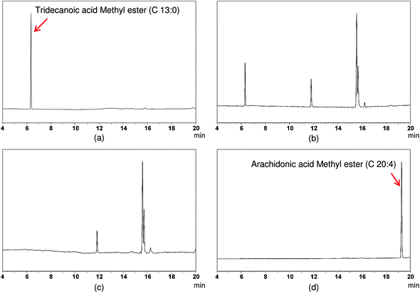 Chromatograms of (a) marker lipid (tridecanoic acid), (b) corn oil + marker lipid, (c) corn oil, and (d) standard lipid (arachidonic acid). These measurements were used to establish the retention time of the different lipids.