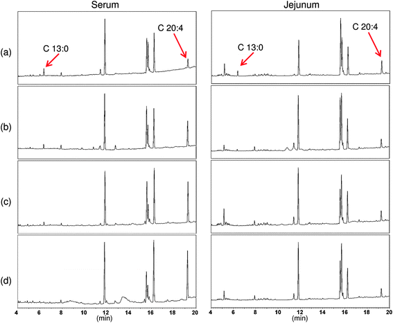 Chromatograms of serum and jejunum fatty acid methyl ester from rats fed (A) conventional emulsions, (B) small microcluster emulsions, (C) large microcluster emulsions, and (D) filled hydrogel microspheres.