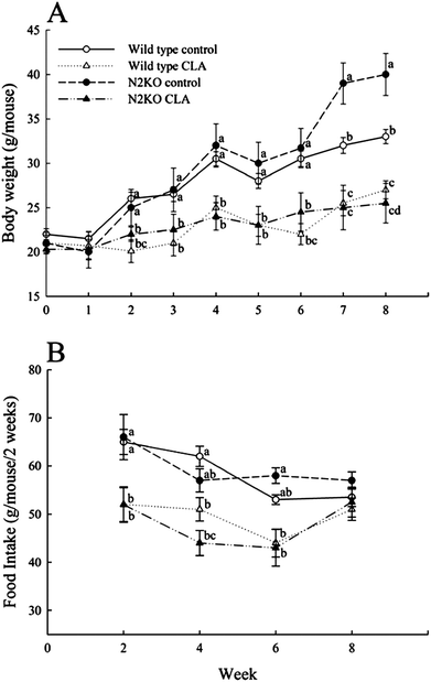 The effect of CLA on body weight (A) and food intake (B) in wild type and Nhlh2 knock-out mice. Values represent means ± S.E. (n = 3). (a–d) Means with different letters at the same time point are significantly different (P < 0.05).