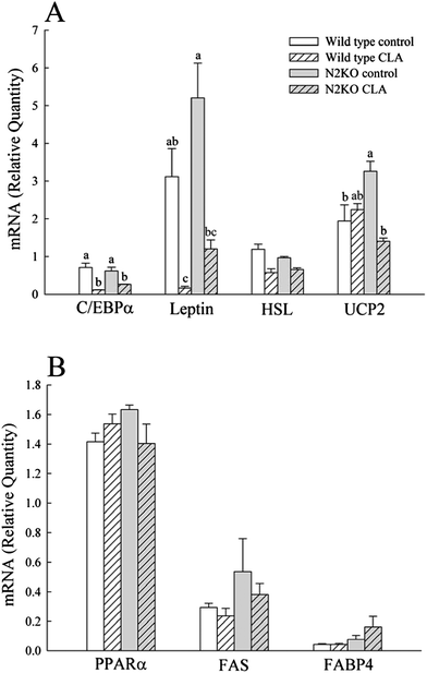 The effect of CLA on mRNA expressions of selected genes from WAT (A) and liver (B). C/EBPα, CCAAT/enhancer binding protein α; HSL, hormone sensitive lipase; UCP2, uncoupling protein 2; PPARα, peroxisome proliferator-activated receptor α; FAS, fatty acid synthase; FABP4, fatty acid binding protein 4. Values represent means ± S.E. (n = 3). (a–c) Means with different letters are significantly different (P < 0.05).