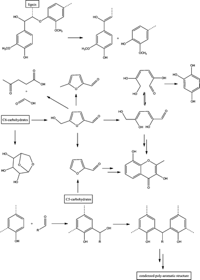Hypothesized pathways of decomposition of major wood components and the formation of new functional groups and condensed aromatic units during the torrefaction.12,23,25,27–34