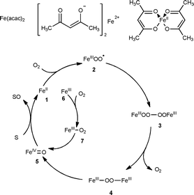 Proposed mechanism.