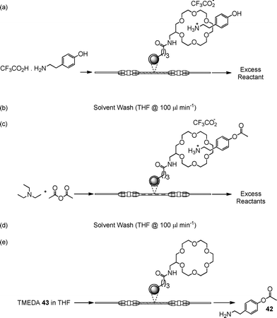 Schematic illustrating the reaction protocol used for the non-covelent protection of amines under flow conditions.