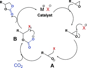 Postulated mechanism for catalyzed syntheses of cyclic carbonates from epoxides and CO2.19