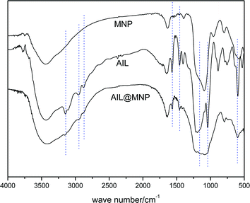 
            FT-IR spectra of SiO2@Fe3O4 (MNP), precursor 2 (AIL) and AIL@MNP.
