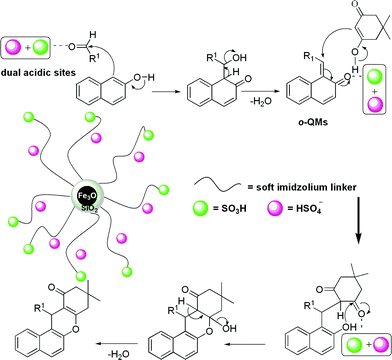 A plausible mechanism for the synthesis of benzoxanthenes using AIL@MNP.