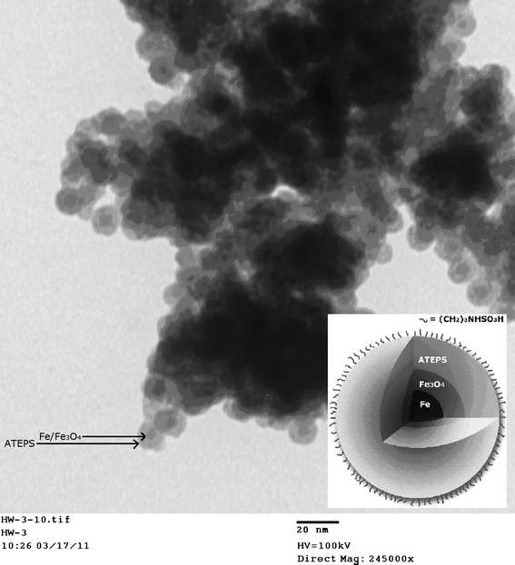 
            TEM image of APTES-coated Fe/Fe3O4 nanoparticles bearing terminal sulfamic acid groups.