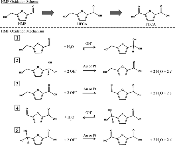 Overall reaction scheme and proposed mechanism for the oxidation of HMF in aqueous solution in the presence of excess base (OH−) and either Pt or Au. Dioxygen (not shown) serves as a scavenger of electrons that are deposited into the metal particles during the catalytic cycle.