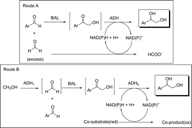Conceptual outline for the multi-step biocatalytic reactions.