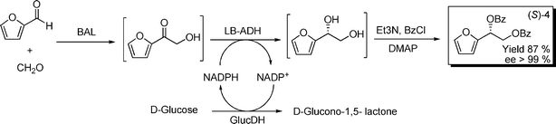 Biocatalytic formation of chiral furan-diols. 40 mL phosphate buffer 50 mM, pH 8.0, 5% v/v 2-MeTHF, 1.6 mmol furaldehyde, 3.6 mmol glucose, 4.4 mmol CaCO3, 4.8 mmol formaldehyde, 2.5 mmol L−1MgSO4, 0.15 mmol L−1ThDP, 168 U BAL, 50 U Lb-ADH, 2800 U GlucDH, 0.5 mmol L−1NADPH.