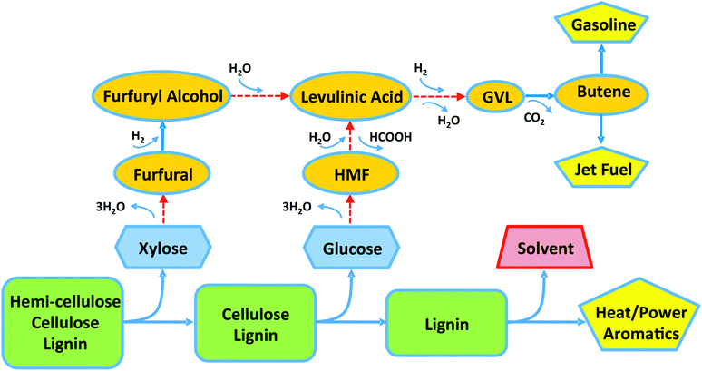 Roadmap for conversion of lignocellulosic biomass (rectangles) to chemicals (ovals) and fuels (pentagons), passing through the intermediate formation of C5 and C6 sugars (hexagons). Dashed arrows indicate processes that can be carried out using a lignin-derived organic solvent for the production of furfural, 5-hydroxymethylfurfural (HMF), levulinic acid, and/or γ-valerolactone (GVL).