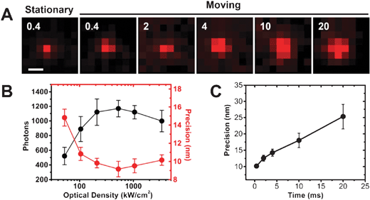 
            Localization precisions for stationary and moving Alexa Fluor 647-labeled Imp β1 molecules. (A) The fluorescent spots from single Imp β1 molecules adsorbed to the surface of a coverslip or moving in a solution mimicking that found inside the NPC (an estimated viscosity about 65 cp55) were measured with various detection times. The viscosity of the transport buffer was increased to around 65 cp by the addition of 81% glycerol and 1.5% PVP. β1 molecules were then tracked in the solution. Numbers denote time (ms). Scale bar: 500 nm. (B) The collected photons and localization precisions of single stationary Imp β1 molecules depend on the average optical density of the illumination volume. (C) The localization precisions of single moving Imp β1 molecules strongly depend on the detection time. As shown, with a 10 ms detection time, the localization precision was two-fold worse than that obtained with a detection time of 400 μs. Around 200 single molecules were collected for each point in (B) and (C).