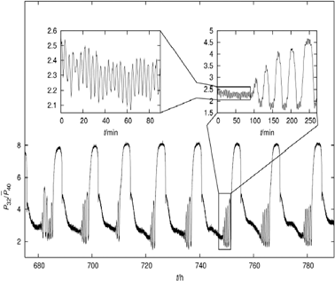 Multi-oscillatory behavior in a self-organized (synchronous) continuous culture of S. cerevisiae. Relative membrane-inlet mass spectrometry (MIMS) signals of the m/z = 32 component corresponding to dissolved O2versus time. Time is given in hours after the start of fermentor continuous operation. Periods of ∼13 h, ∼40 min and ∼4 min can be detected (see the sub-panel). The biological bases for all three oscillatory outputs of the yeast culture have been confirmed by exclusion of the possible influences of variations of aeration or stirring, pulsed medium addition, cycles of NaOH addition and pH variation, or cycles of temperature control. (Reproduced from Aon MA, Roussel MR, Cortassa S, O'Rourke B, Murray DB, et al. (2008) The Scale-Free Dynamics of Eukaryotic Cells. PLoS ONE 3(11): e3624. doi: 10.1371/journal.pone.0003624).