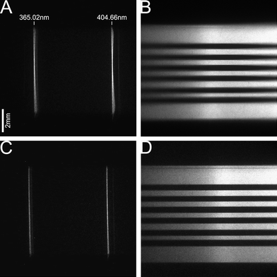 (A) Spectral image of the spectrograph slit illuminated with the Hg(Ar) pen lamp. (B) Spectral image of a grid on the spectrograph slit illuminated with a continuum lamp. (C) and (D) are taken under same conditions as (A) and (B) but with a grating mask that only allows an 8 mm × 8 mm central portion to be illuminated.