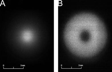 GDOES elemental mapping of Cu pin in the Ni substrate sample without a grating mask. (A) Monochromatic image of the GD at 324.7 nm. (B) Monochromatic image of the GD at 341.5 nm.