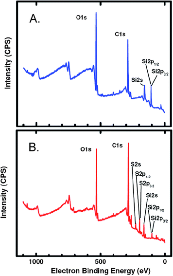 
            XPS analysis of Si-AIBNSi-AIBN modified glass slides processed according to Scheme 3. (A) Control slide whereas in the process of Scheme 3VDOT was replaced by EDOT (no blue color was seen on the final product); (B) a VDOT-EDOT film as described in Scheme 3.