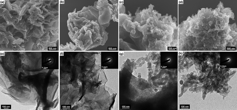 SEM, TEM images and selected area electron diffraction patterns of different SSG/PANI composites: (a) SEM-PAGT2:8; (b) SEM-PAGT5:5; (c) SEM-PAGT9:1; (d) SEM-PAGS9:1; (e) TEM-PAGT2:8; (f) TEM-PAGT5:5; (g) TEM-PAGT9:1; (h) TEM-PAGS9:1.